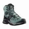 Salomon Waterdichte Trekkingschoenen Voor Dames QUEST 4 GTX -Regatta shop waterdichte trekkingschoenen voor dames quest 4 gtx